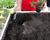 Entretien et nettoyage Comme...un jardin - 28.06.2018